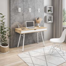Techni Mobili Modern Multi Storage Computer Desk with Storage, Pine