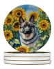 Norwegian Elkhound in Sunflowers Large Sandstone Coasters Pack of 4 Absorbent Round Coasters Decor Gifts for Men or Women, 4 in, Multicolor